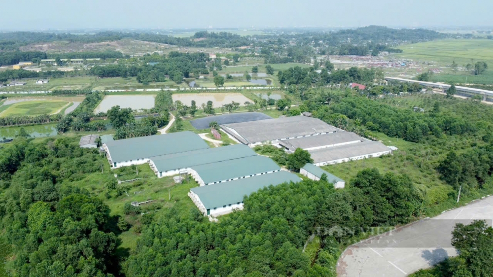 Công bố Kết luận Dự án Trang trại sản xuất nông nghiệp tổng hợp tại xã Việt Tiến, huyện Thạch Hà (cũ)
